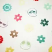 ニエの画像