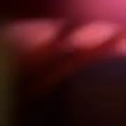 なぁやんの画像
