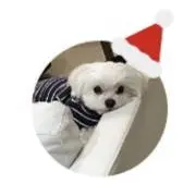 ふーちゃんの画像
