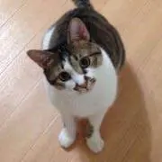 Naomi Kitanoの画像