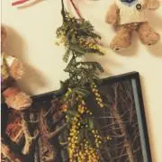 れい【おまとめ、お値下げ可】の画像