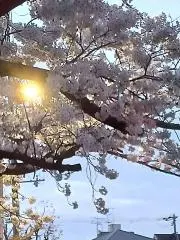 いしの画像