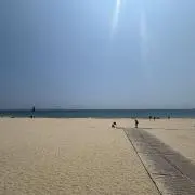 TANAの画像