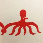 Kitanoの画像