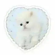 Hiiの画像