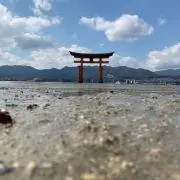 てけとの画像