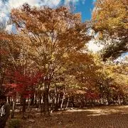 Kinami1245の画像