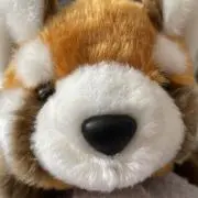 pandaの画像