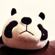 tokoの画像