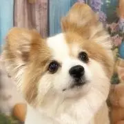 JENNY♡Aの画像