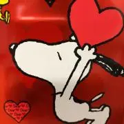 チョコレートの画像