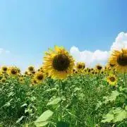 ぽん★必ずプロフ読んでください★の画像