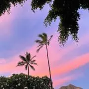 peach