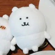 うさぎの画像