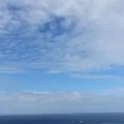 siro_ 平日まとめ依頼不可の画像