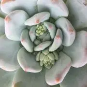 そたの画像