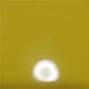 セトの画像