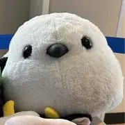 シマの画像