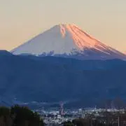 ともの画像