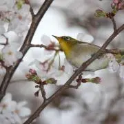 はっぴー(^^)/の画像