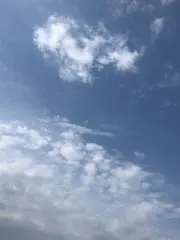 りりりんご