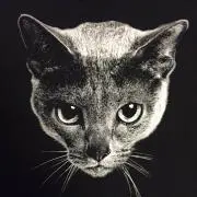 S.Tsuruokaの画像