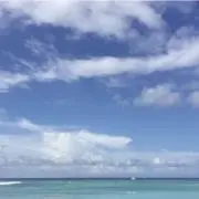 みーの画像