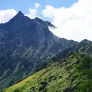 森林人