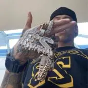 ヤングサルの画像
