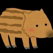 うりぼーの画像