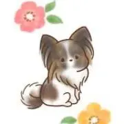 cacaoの画像