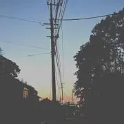 くーの画像