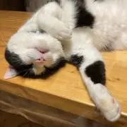 kikosola☆の画像