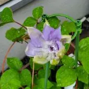 みやこ※プロフ必読でお願いします※の画像