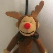 もちの画像
