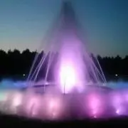 Tontaの画像
