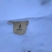 ナベワタ