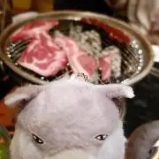 HMMの画像
