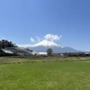 @@@の画像