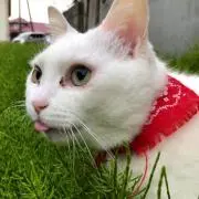 じゅん