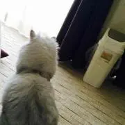 340の画像