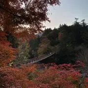 Kouの画像