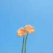 mの画像