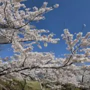 blue sky お願いプロフご確認をの画像