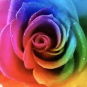❁rainbow❁