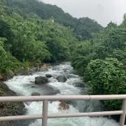 TANTANの画像