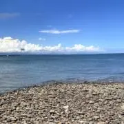 やまやまの画像