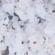 milkの画像