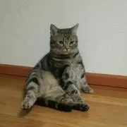 いすう