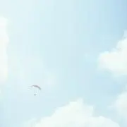 n8723_khの画像